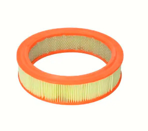 De Luchtfilter OE van de premie Automobielmotor: 4180565; C2443 voor FIAT (69-79), FORD, LANCIN